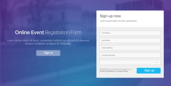 An example web registration form screen shot.