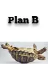Making the Pivot to Plan B